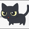 黒猫