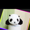 よっこ
