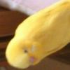 ユーザーアイコン