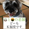 【 Ｋ 福 堂 🍵🍘 】