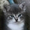 ゆるっち