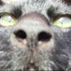 そばクロ😻🤪💩