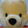 ぷー(pooh)