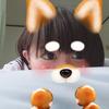 十六茶