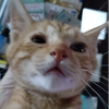 ユーザーアイコン