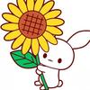 ひまわり君