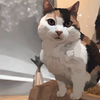 🐱🐱【🪤】