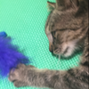 ユーザーアイコン