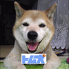 トム犬