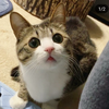 たみやん😸🐒🍹