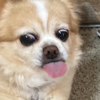 ぁげ