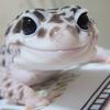 おらふ君