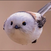 ひらひら