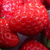 いちごちゃん🍓⛄