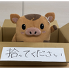 YouTubeLive@ｺﾚﾘｽ視聴者😷