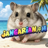 ｴﾇｱｰﾙ💎JANGARIAN🐹🌻