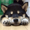 わらじ☺︎