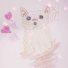 【定期】シャモジ