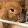 なおやん