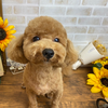 あーたん