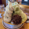 🕊️☘️ミニミニのミニ🕊️🕊️🕊️☘️☘️☘️