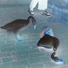 ユーザーアイコン