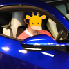 けむ@🦒🐣🦒