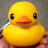 ベーグルちゃん🐥´-