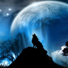 🐺ブラック🐺