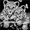スー🐯