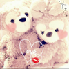 🐻ぷーちゃん🐻