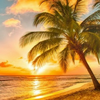  center island 🏝️