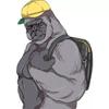ごりぽん🦍🌼🧸💛