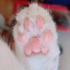 😸にゃーま教🐥