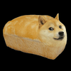 もぐり犬