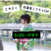 小柳咲良(こやさく)#秋葉原ビジョン