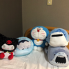 サメちゃん🦈