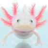 ぽち