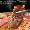 カー君