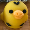 🐷maru🍊