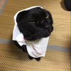 み