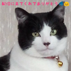 ゆう