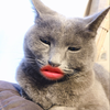 もも