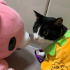 ユーザーアイコン