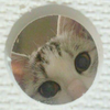 ぽんこつ