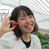 花鳥風月