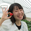 花鳥風月