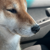 いっちのおかんෆ⃛