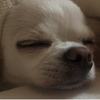 ྀིとしくん ྀི