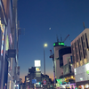 涼